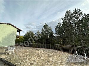 image_10