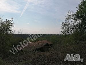 Имот, с. Миндя