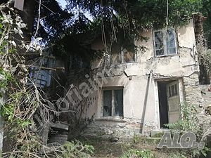 Дворно място в регулация на апетитно място