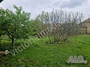 image_13