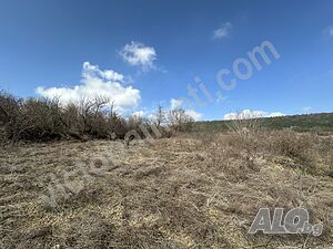 image_2