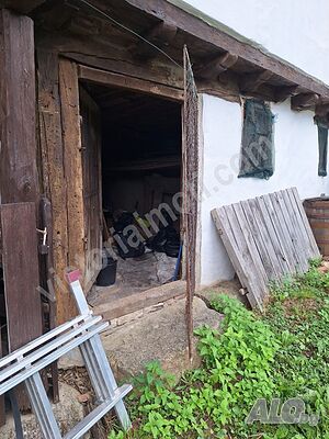 image_15