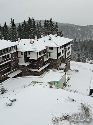 image_10