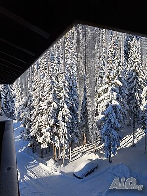 image_11