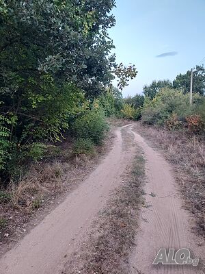 Продавам парцел във вилна зона над с. Златосел