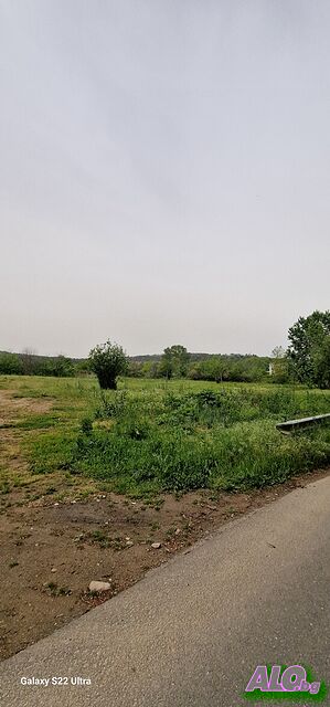 image_10