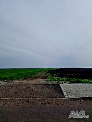 image_4