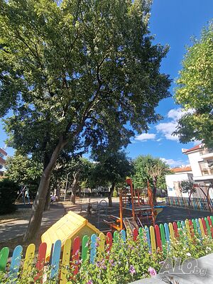 image_13