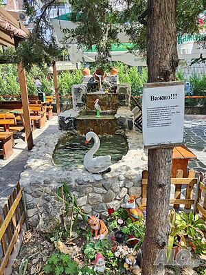 image_6