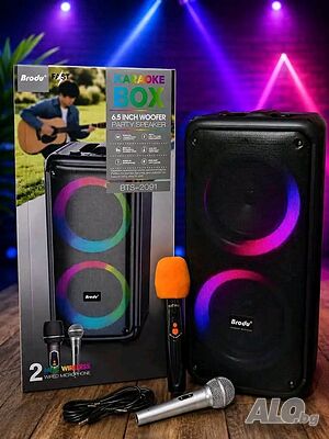 Безжична акумулаторна Bt караоке 2х6,5” тонколонка Brodu BTS-2091