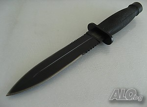 image_5