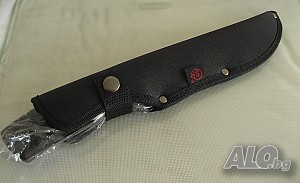 image_5