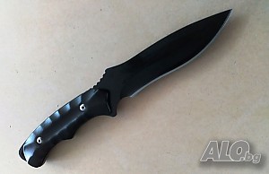 image_5