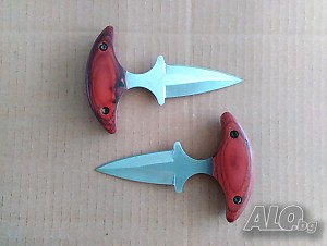 image_6
