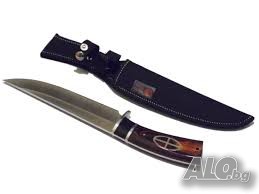 image_5