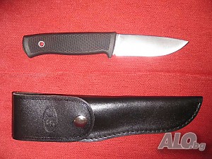 image_3