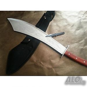 image_3