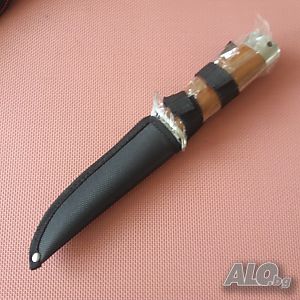 image_5