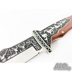 image_3