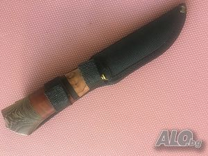 image_6