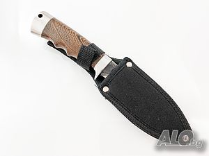 image_4