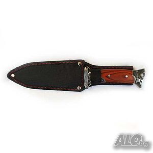 image_2