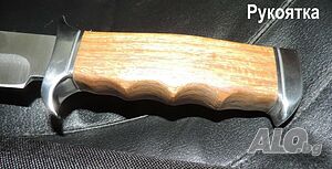 image_5