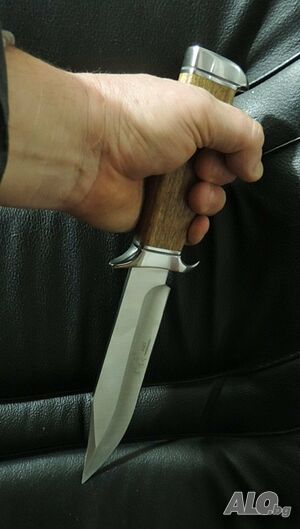 image_6
