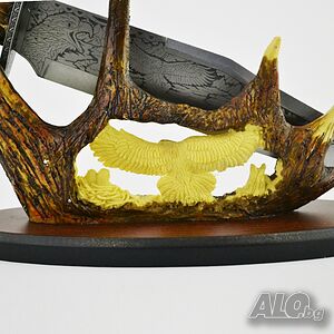 image_4