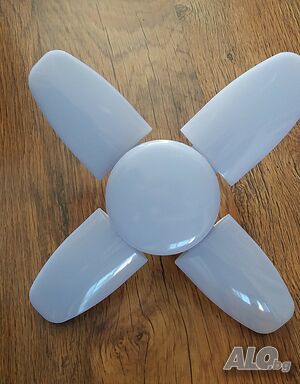 image_4