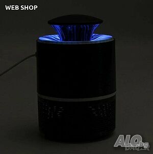 image_3