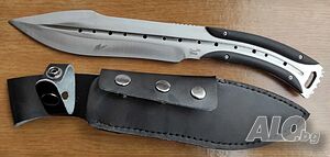 image_3