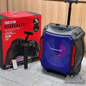Компактна 12” тонколонка ZQS12110