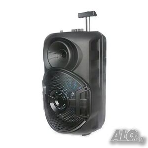 Mощна 12” караоке тон колонка ZQS12106S