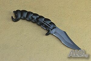 image_5