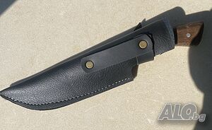 image_6