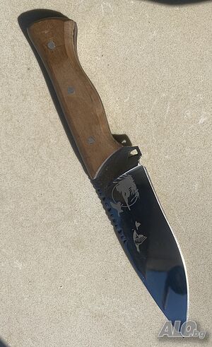 image_6