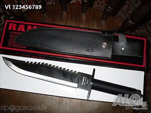 image_7
