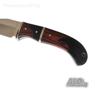 image_3