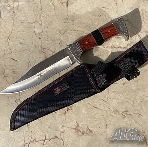 image_4