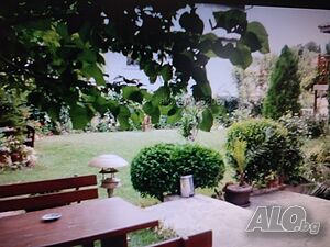 image_5