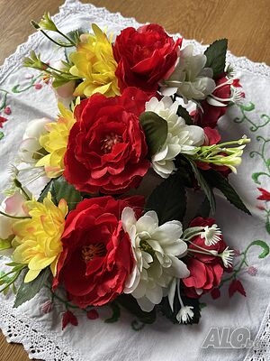 image_6