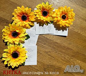 image_5