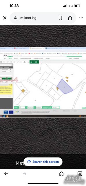 имот по Параграф 4