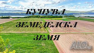 Купува зем. земя Свобода, Овчарово, Паскалево, Божурово и др.