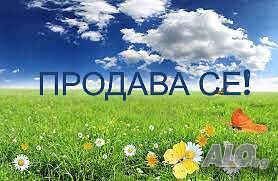 20 дка - с. Дъбовик