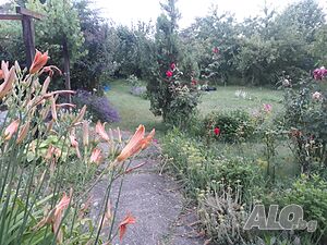 image_9