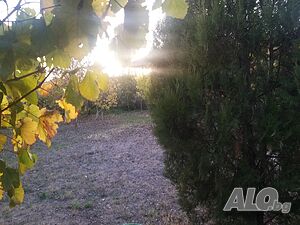 image_9