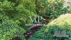 image_8