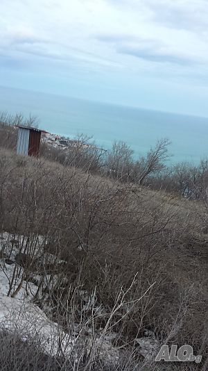 image_9